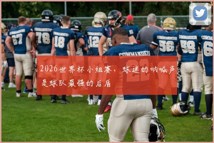 2026世界杯小组赛,球迷的呐喊声是球队最强的后盾